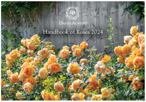 David Austin Roses - バラ苗, バラ鉢, イングリッシュローズ, つるバラ, ランブラーローズ - バラ通販、ネット通販 –  David Austin Roses Japan