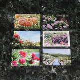 ポストカード6枚セット - Postcard pack of 6