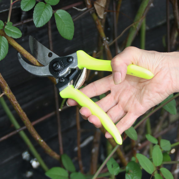 Burgon＆Ball社 剪定ばさみ 蛍光イエロー - Florabrite yellow bypass secateurs