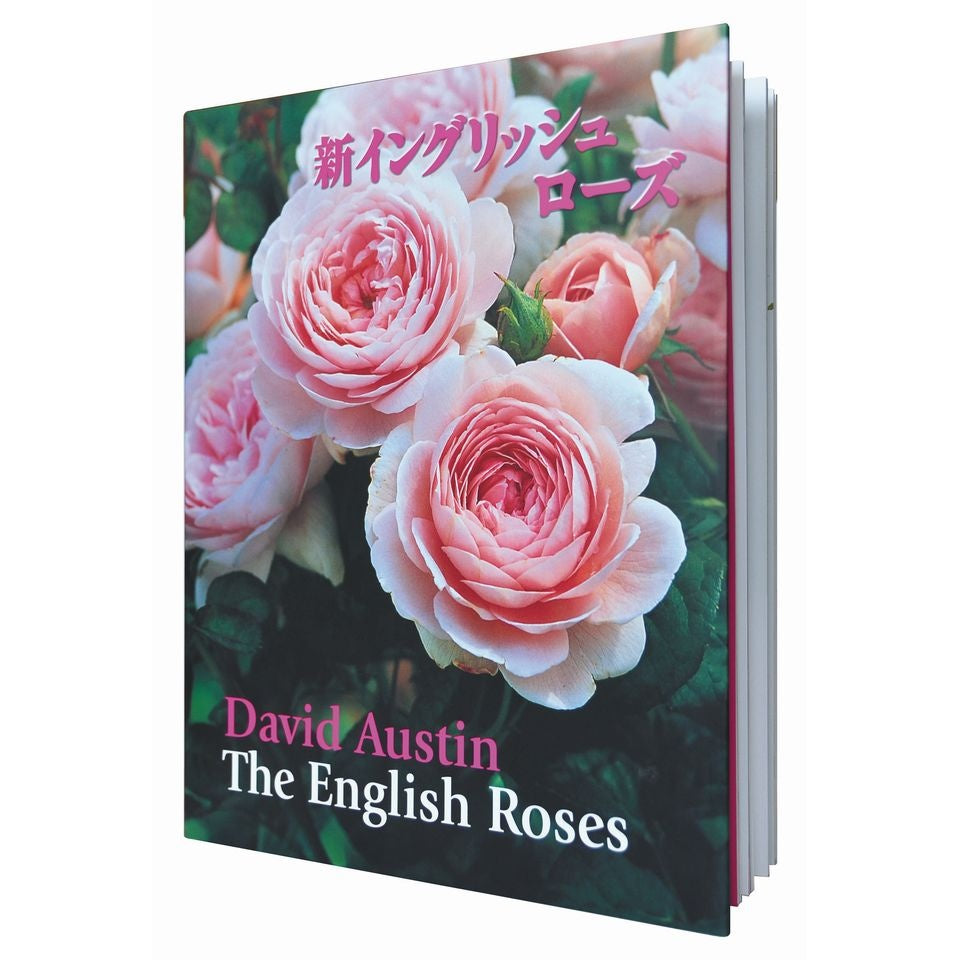 新イングリッシュローズ（日本語版）- The English Roses (New Edition